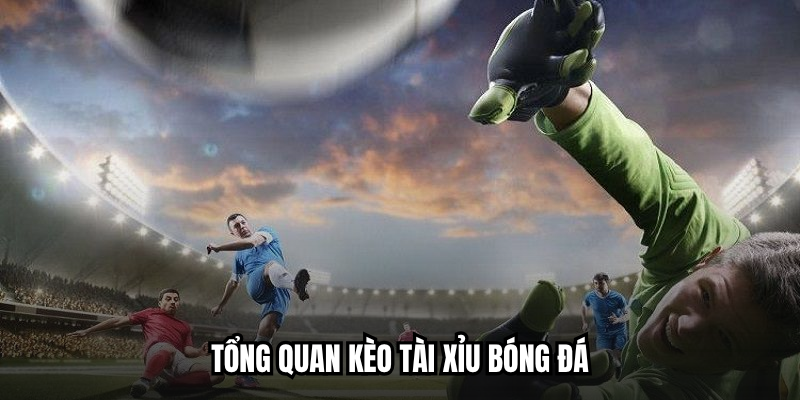 Kèo Tài Xỉu | FB88 Cập Nhật Nhanh Tỷ Lệ Thưởng 1:0.95 1 Tổng quan kèo tài xỉu bóng đá