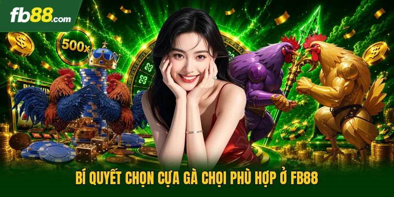 Bí quyết chọn cựa gà chọi phù hợp ở FB88