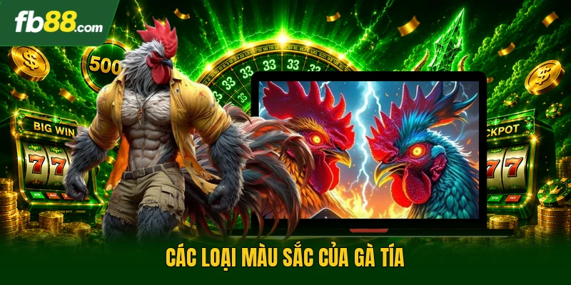 Các loại màu sắc của gà tía 