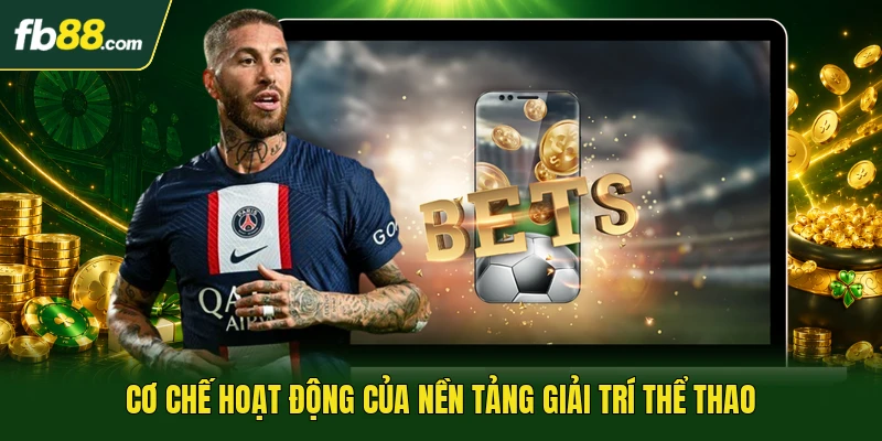 Cơ chế hoạt động của nền tảng giải trí thể thao