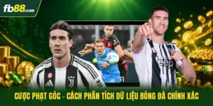Cược Phạt Góc - Cách Phân Tích Dữ Liệu Bóng Đá Chính Xác