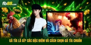 Gà Tía Là Gì? Các Đặc Điểm Và Cách Chọn Gà Tía Chuẩn