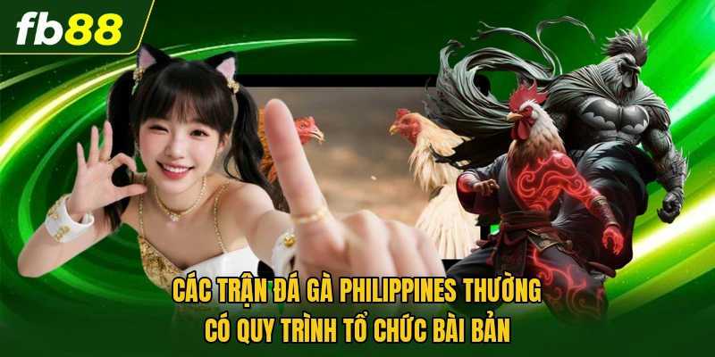 Đá Gà Philippines Có Gì Đặc Biệt So Với Nhiều Hình Thức Khác? 1 Các trận đá gà Philippines thường có quy trình tổ chức bài bản