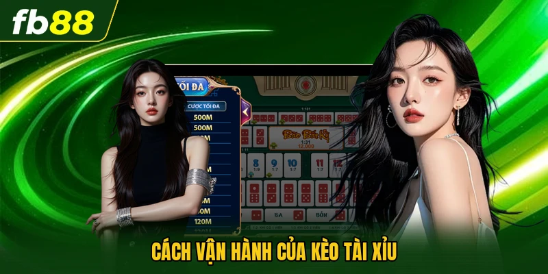Cách vận hành của kèo tài xỉu