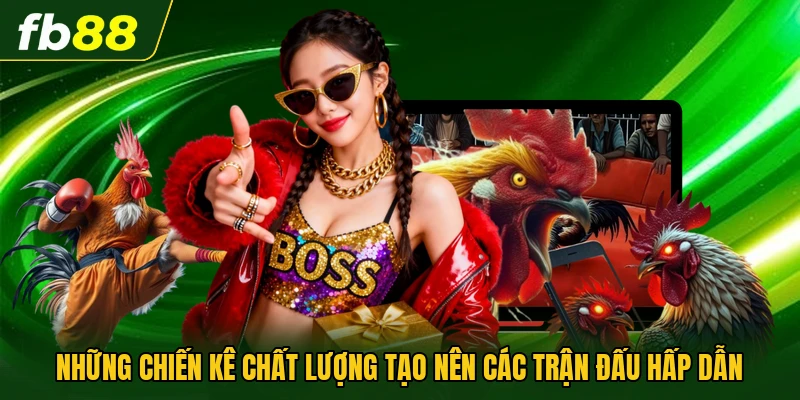 Đá Gà Philippines Có Gì Đặc Biệt So Với Nhiều Hình Thức Khác? 3 Những chiến kê chất lượng tạo nên các trận đấu hấp dẫn