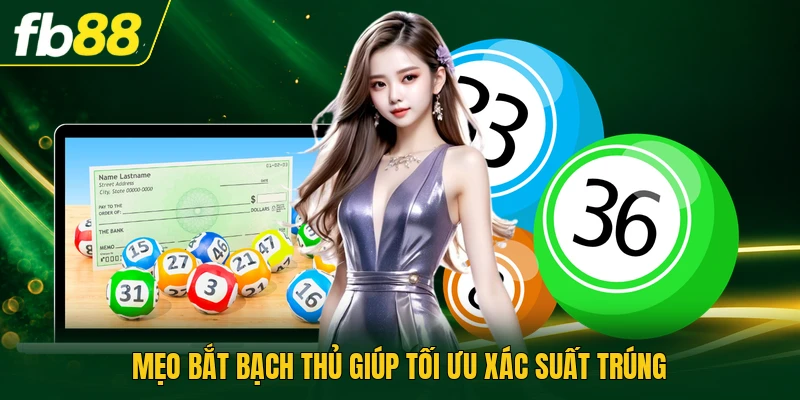 Mẹo bắt bạch thủ giúp tối ưu xác suất trúng